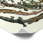 Baum des Lebens - Evolution Poster - Farbe (Ecke)