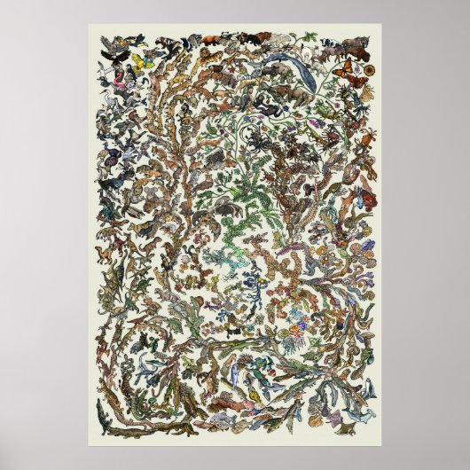 Baum des Lebens - Evolution Poster - Farbe (Vorne)