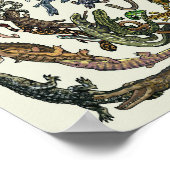 Baum des Lebens - Evolution Poster - Farbe (Ecke)