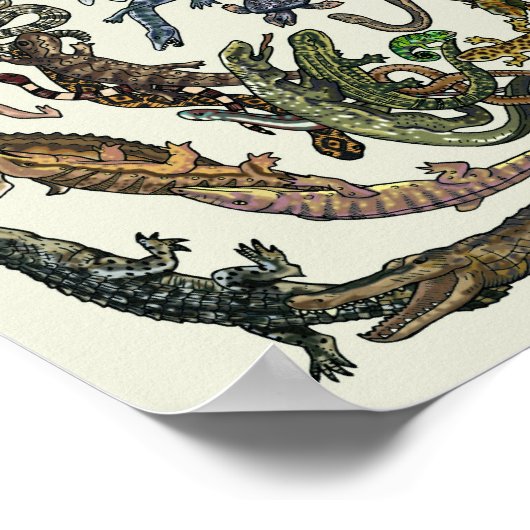 Baum des Lebens - Evolution Poster - Farbe (Ecke)