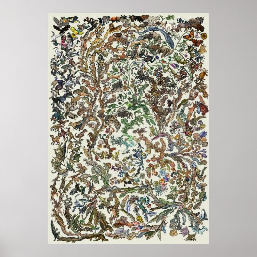 Baum des Lebens - Evolution Poster - Farbe (Vorne)