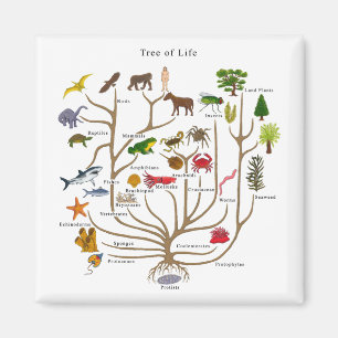 Baum des Lebens Magnet