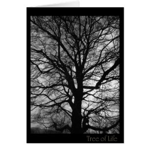 Baum des Lebens - nicht nur für Baumhugger