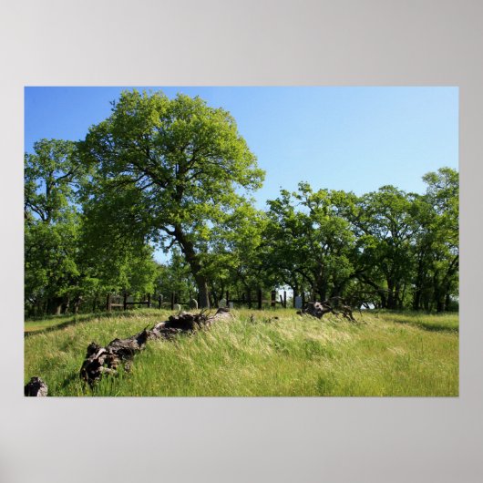"Baum des Lebens" Poster (Vorne)