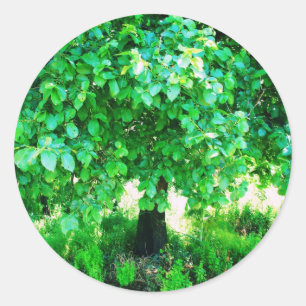 BAUM DES LEBENS RUNDER AUFKLEBER