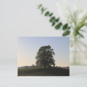 BAUM DES LERCHENBERGER KRIEGERDENKMALS BEI HAAG POSTKARTE (Stehend Vorderseite)