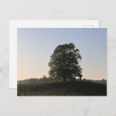 BAUM DES LERCHENBERGER KRIEGERDENKMALS BEI HAAG POSTKARTE (Vorne/Hinten)