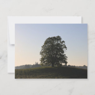 BAUM DES LERCHENBERGER KRIEGERDENKMALS BEI HAAG POSTKARTE