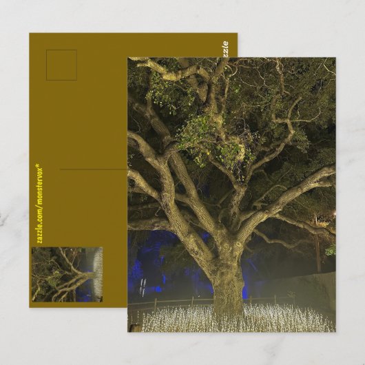 Baum des Lichts Postkarte (Vorne/Hinten)