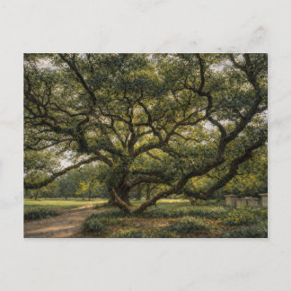 Baum des südlichen Lebens | Live Oak Art | Postkar Postkarte