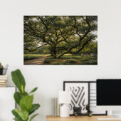Baum des südlichen Lebens | Live Oak Kunst | Poste Poster (Heimbüro)