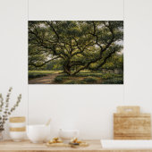 Baum des südlichen Lebens | Live Oak Kunst | Poste Poster (Küche)