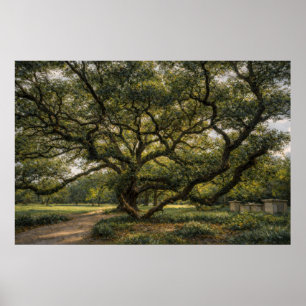 Baum des südlichen Lebens Live Oak Kunst Poste Poster
