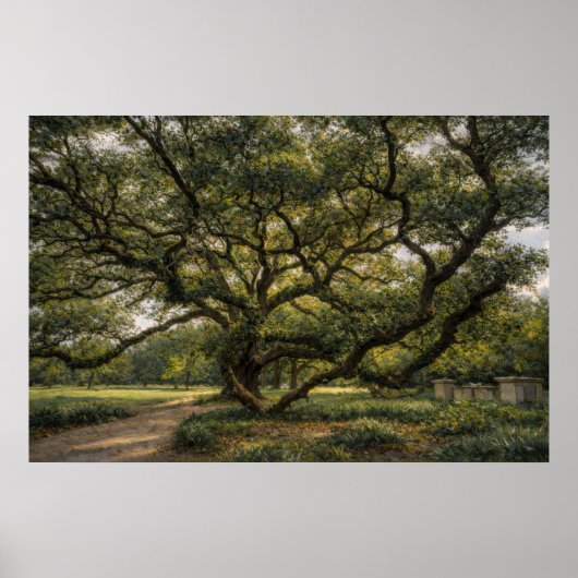 Baum des südlichen Lebens | Live Oak Kunst | Poste Poster (Vorne)