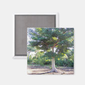 Baum des Weisheitsmagneten Magnet (Vorderseite/Rückseite)