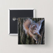 Baum-Eichhörnchen-Button Button (Vorne & Hinten)