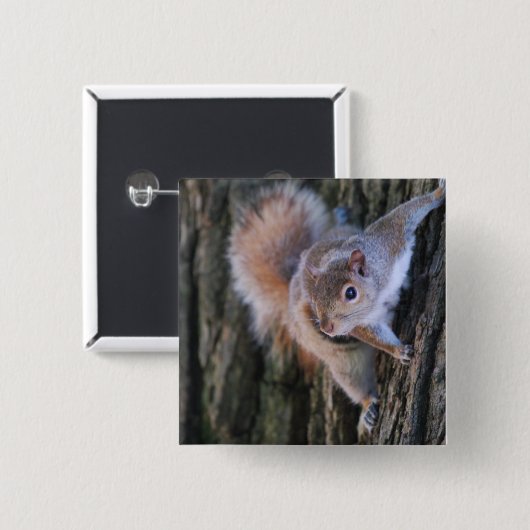 Baum-Eichhörnchen-Button Button (Vorne & Hinten)