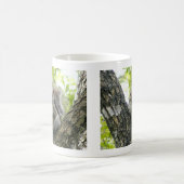 Baum-Eichhörnchen Kaffeetasse (Mittel)