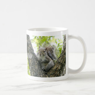 Baum-Eichhörnchen Kaffeetasse