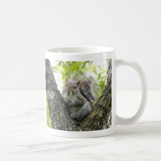 Baum-Eichhörnchen Kaffeetasse (Rechts)