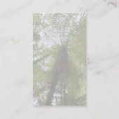 Baum-Farn Visitenkarte (Rückseite)