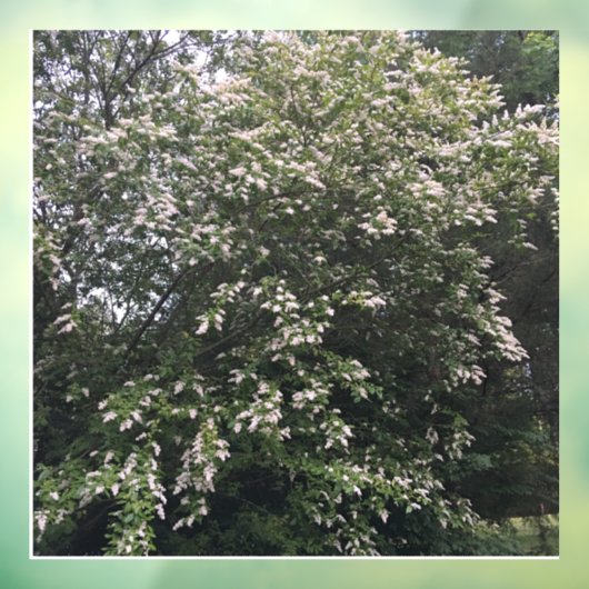 Baum Fensteraufkleber (Blatt 3)