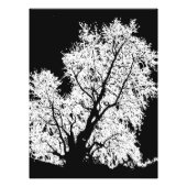 Baum Fotodruck (Vorne)