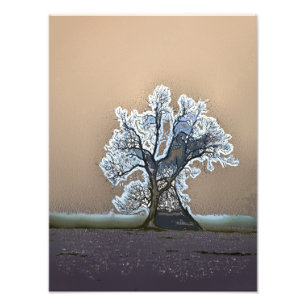 BAUM FOTODRUCK