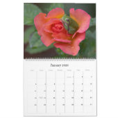 Baum Frog 14.25 X 11 Wandkalender (Jan 2026)