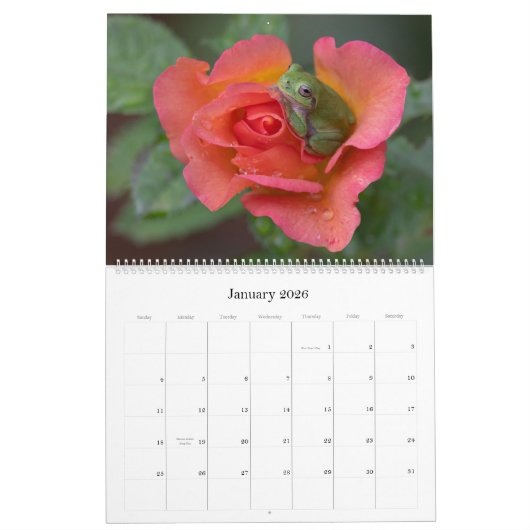 Baum Frog 14.25 X 11 Wandkalender (Jan 2026)