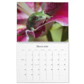 Baum Frog 14.25 X 11 Wandkalender (Mär 2026)