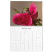Baum Frog 14.25 X 11 Wandkalender (Feb 2026)