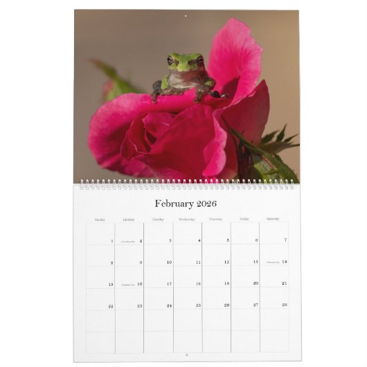 Baum Frog 14.25 X 11 Wandkalender (Feb 2026)