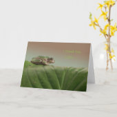 Baum Frog Ermutigung, denke ich, Sie können Karte (Gelbe Blume)