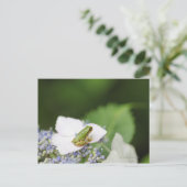 Baum Frog sitzend auf einem Hydrangea, Hyogo Postkarte (Stehend Vorderseite)
