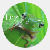 Baum Frog Stickers (Vorderseite)