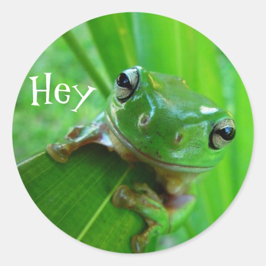 Baum Frog Stickers (Vorderseite)