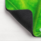 Baum-Frosch #1 Mousepad (Ecke)