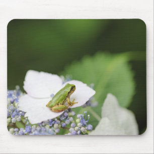Baum-Frosch, der auf einem Hydrangea, Hyogo sitzt Mousepad