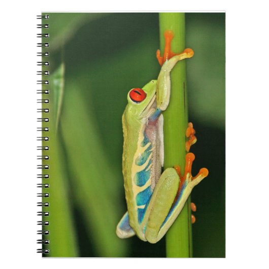 Baum-Frosch-Foto Notizblock (Vorderseite)