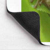 Baum-Frosch-Grün fertigen Sprung besonders an Mousepad (Ecke)