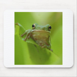 Baum-Frosch-Grün fertigen Sprung besonders an Mousepad