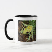 Baum-Frosch (Hylidae) Tasse (Links)