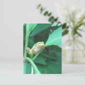 Baum-Frosch Postkarte (Stehend Vorderseite)