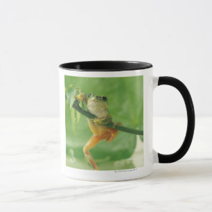 Baum-Frosch Tasse