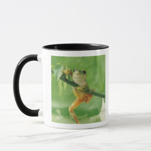 Baum-Frosch Tasse (Links)