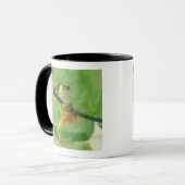 Baum-Frosch Tasse (Vorderseite Links)