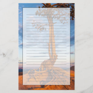 Baum haftet Leiste, Bryce Schlucht-Nationalpark an Briefpapier