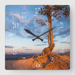 Baum haftet Leiste, Bryce Schlucht-Nationalpark an Quadratische Wanduhr