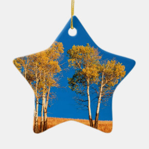 Baum-Herbst Aspen Yellowstone Wyoming Keramikornament